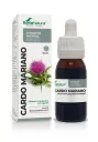 Silybum marianum liq. extr. - 50 ml (Milk thistle)