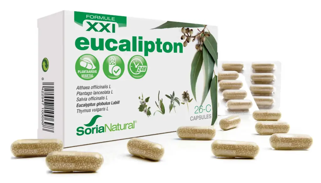 26-C Eucalipton XXI - 30 caps.
