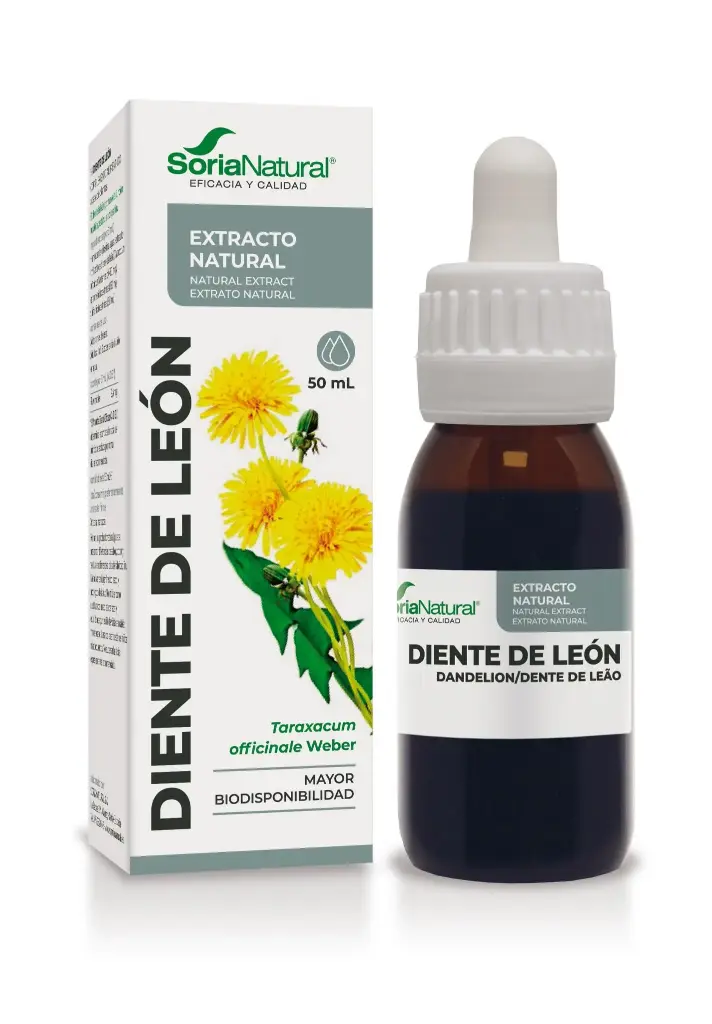 Taraxacum officinalis liq. extr. - 50 ml (Dandelion)