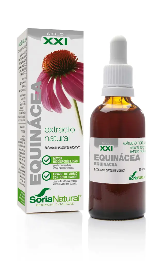 Echinacea purpurea XXI extr. fl. 50 ml