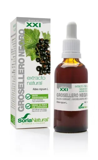 [4040XXI] Ribes nigrum XXI extr. fl. - 50 ml