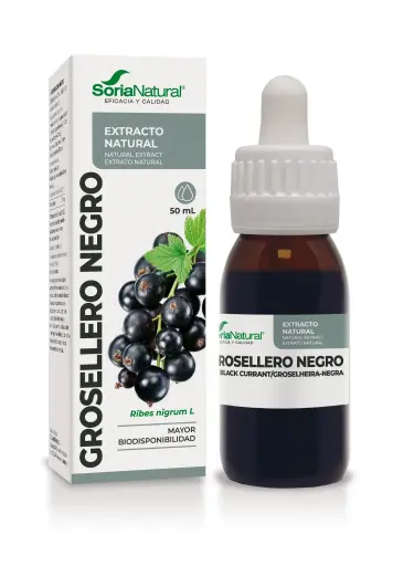 [4040XXI] Ribes nigrum vl. extr. - 50 ml (Zwarte bes)