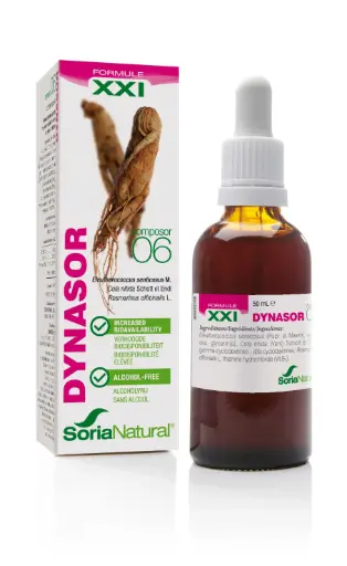 [15006XXI] Dynasor Composor 06 XXI - 50 ml