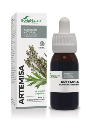 [4007XXI] Artemisia vulgaris extr. fl. - 50 ml (Armoise commune)