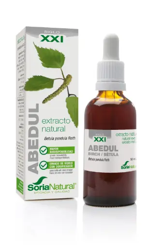 [4009XXI] Betula pendula XXI extr. fl. - 50 ml