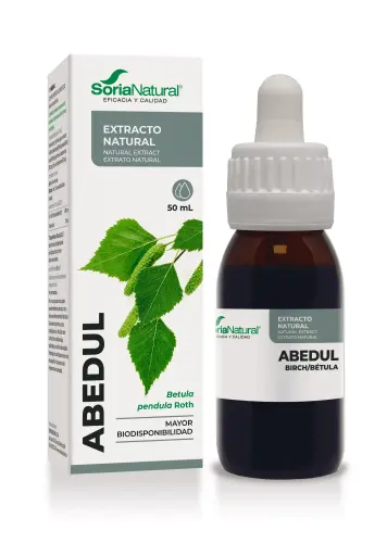 [4009XXI] Betula pendula vl. extr. - 50 ml (Berk)