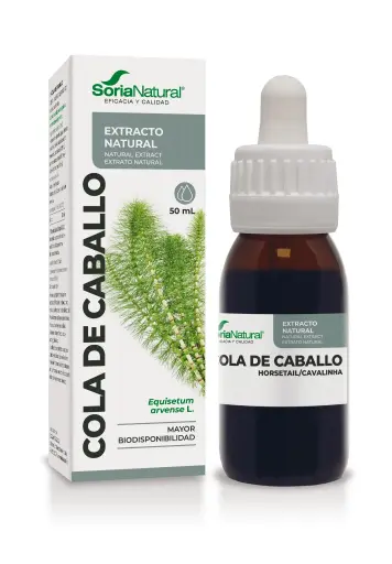 [4020XXI] Equisetum arvense liq. extr. - 50 ml (Horsetail)