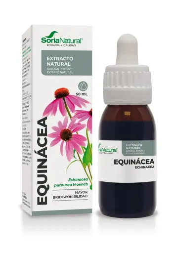 [4017XXI] Echinacea purpurea vl. extr. - 50 ml (Echinacea)